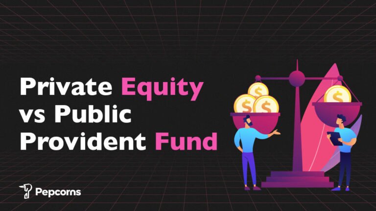 Private Equity vs Public Provident Fund